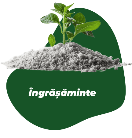 Îngrășăminte